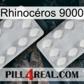 Rhinocéros 9000 17
